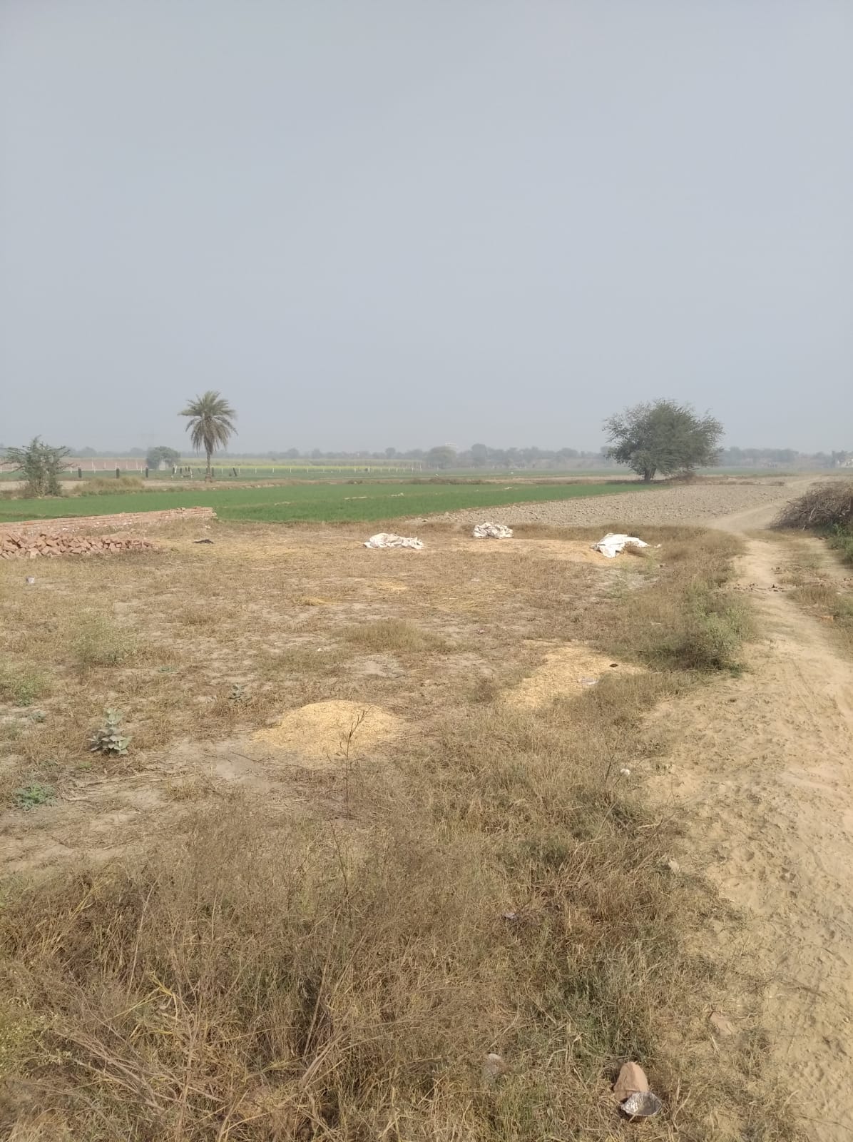 # प्लॉट क्यों मुझे सबसे बेहतर विकल्प लगता है? – मेरा व्यक्तिगत दृष्टिकोण
